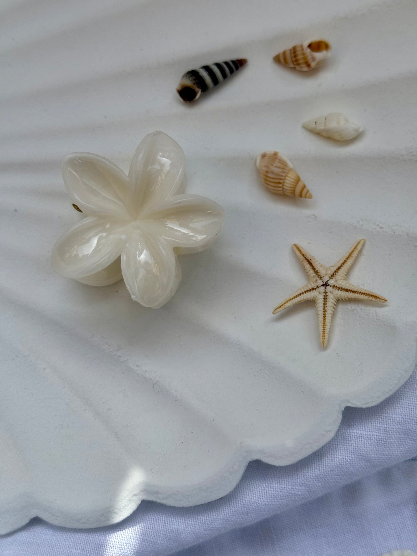 Plumeria Summer Clips - klein