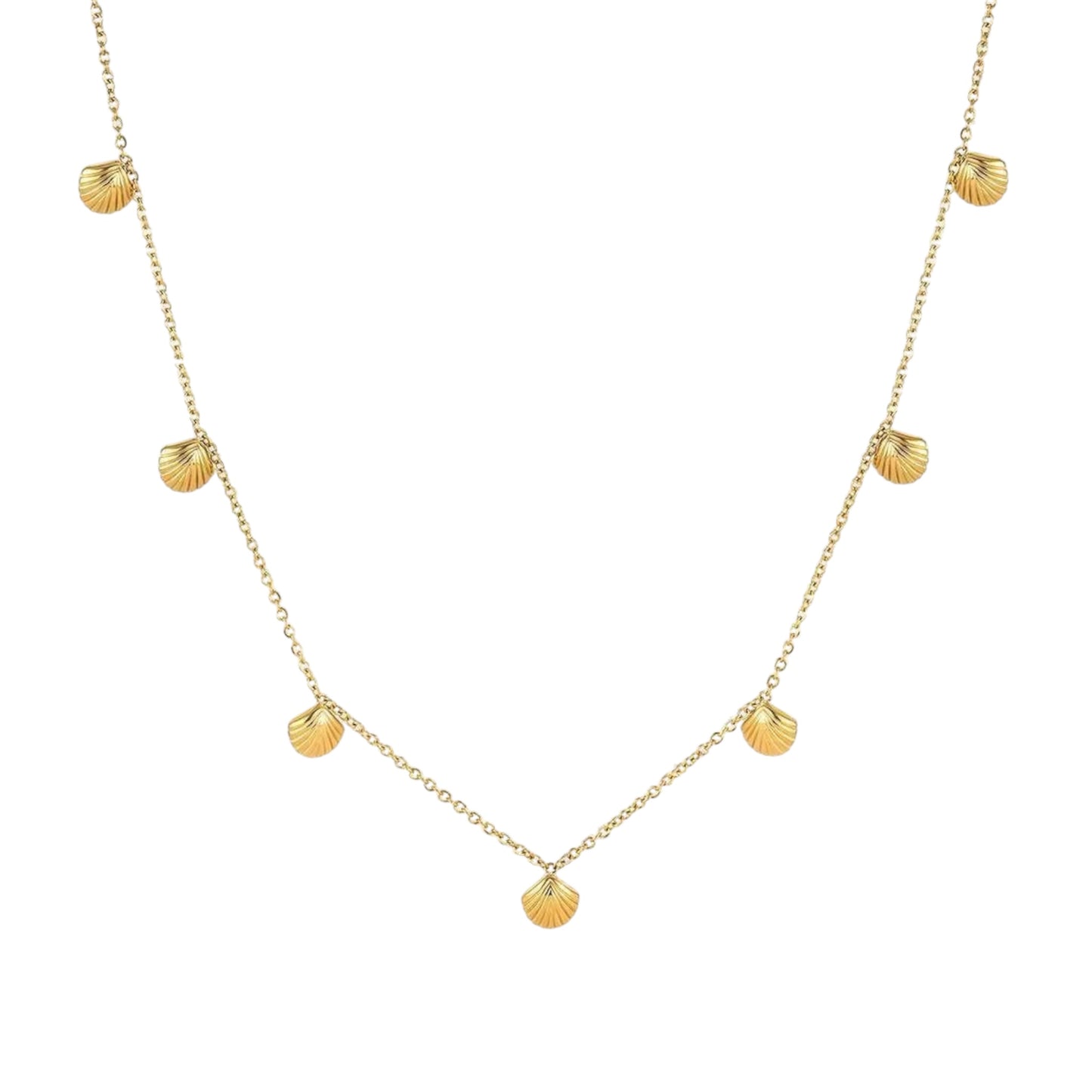 Muschelkette | Stainless Steel