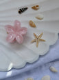 Plumeria Summer Clips - klein