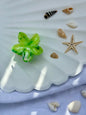 Plumeria Summer Clips - klein