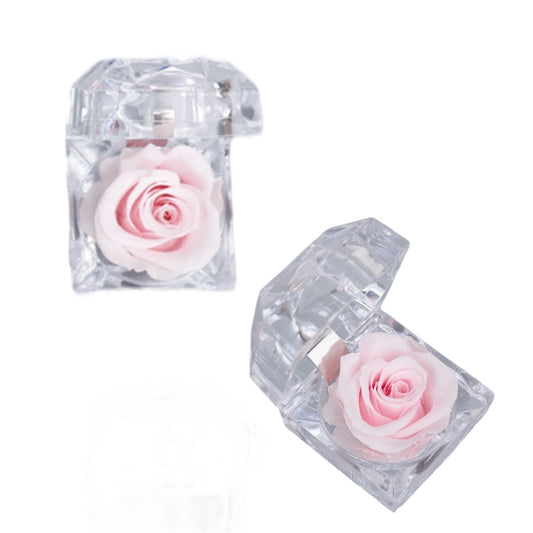 Infinity Rose