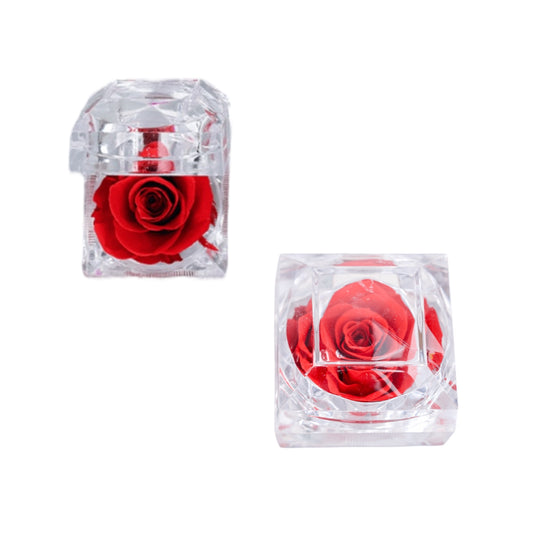 Infinity Rose