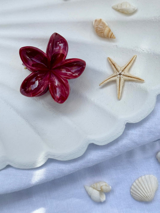 Plumeria Summer Clips - klein