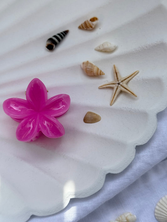 Plumeria Summer Clips - klein